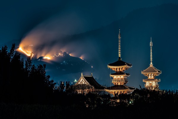 Specified Skilled Worker Visa - SSW Visa